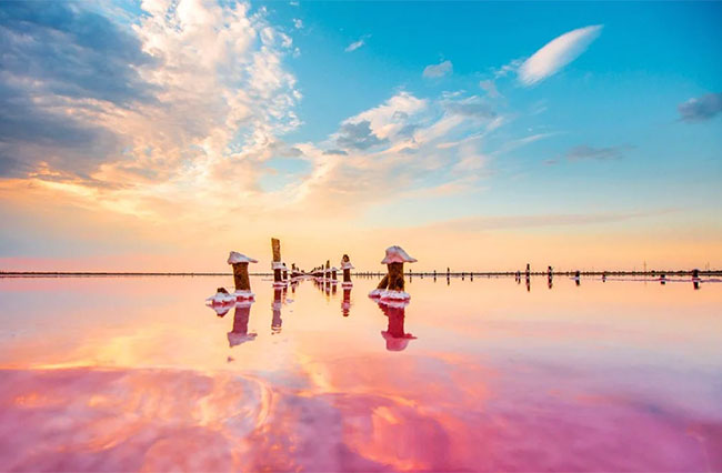 розовое озеро в крыму евпатория фото